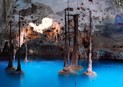 Xenotes