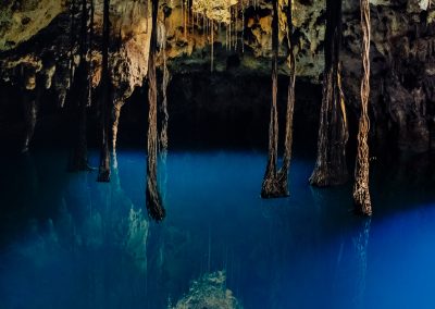 Xenotes