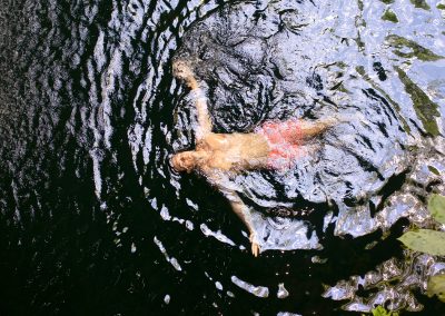Xichén Deluxe - Cenote