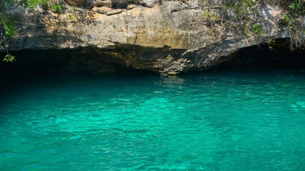 Swim in the crystal-clear waters of a stunning cenote in the Riviera Maya.