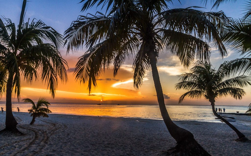Sunset at Playa Norte with palm trees