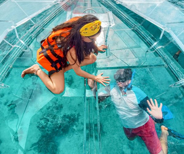 Clear Boat Snorkel Cozumel