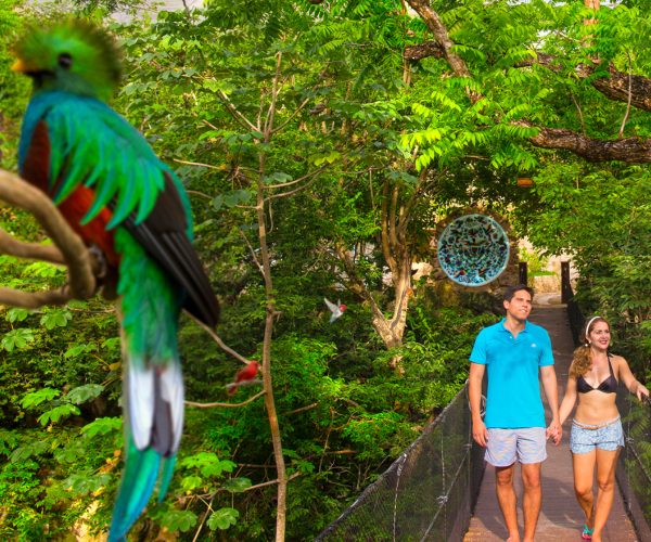 Xcaret Plus (+ Tour PDC)