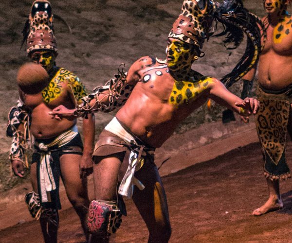 Xcaret Plus (+ Tour RM)