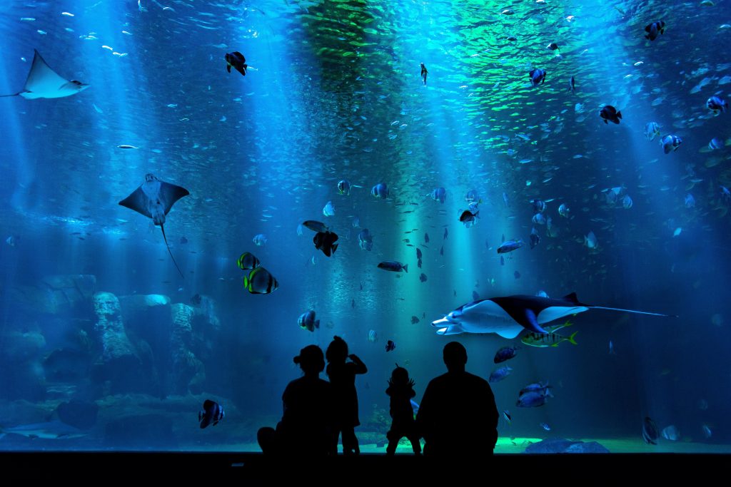 Interactive Aquarium Cancun